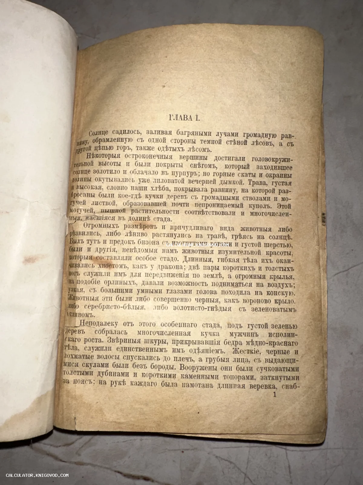 Разворот старинной книги с текстом на дореволюционном русском языке, пожелтевшая бумага с пятнами времени.