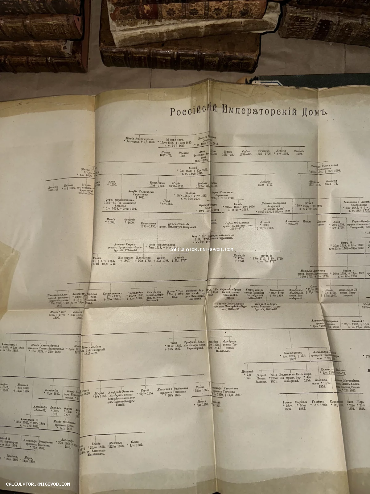 Старинная развернутая печатная схема с родословной династии Романовых на пожелтевшей бумаге.