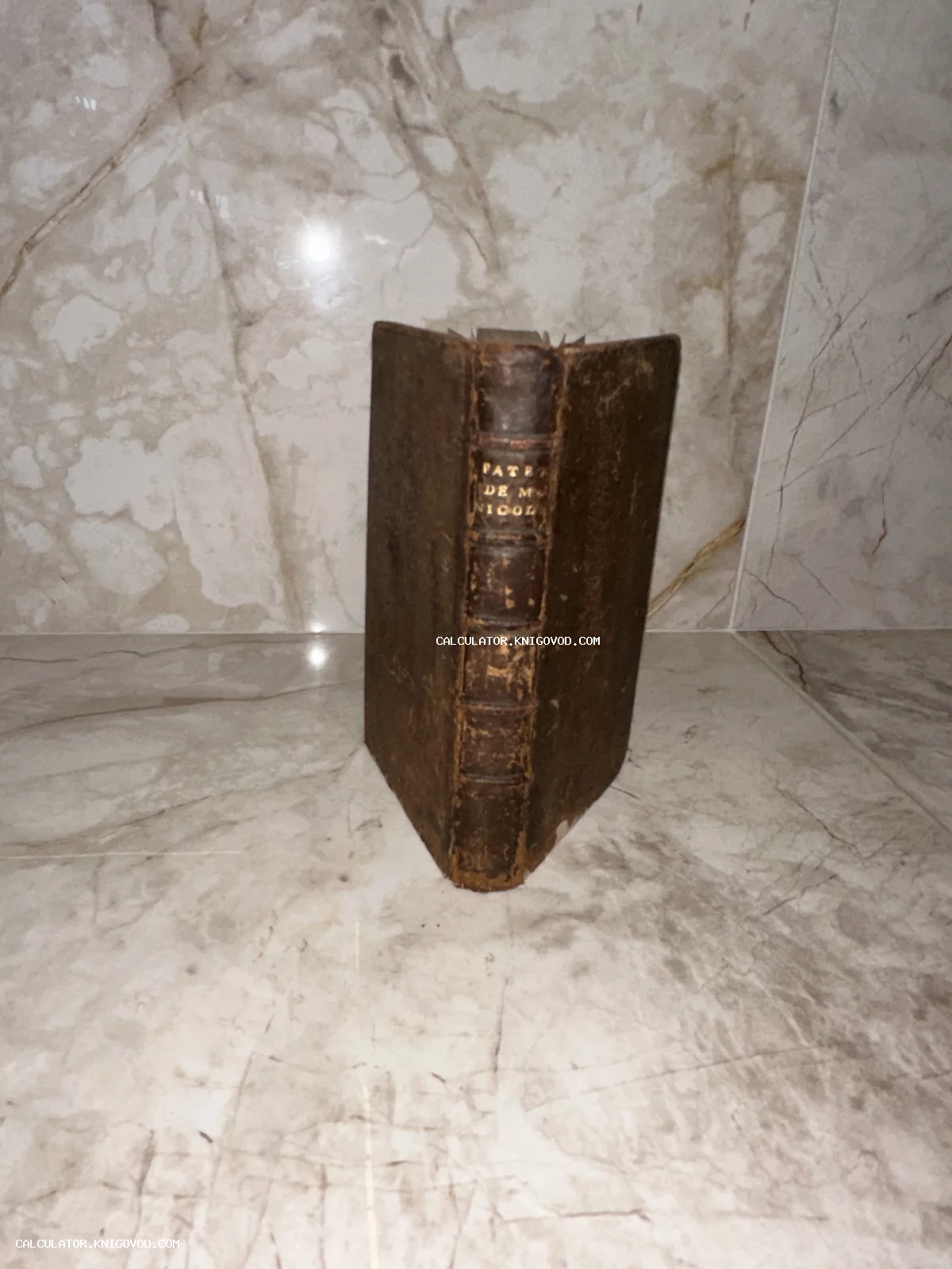 Антикварная книга в массивном кожаном переплете с позолоченными буквами на корешке.