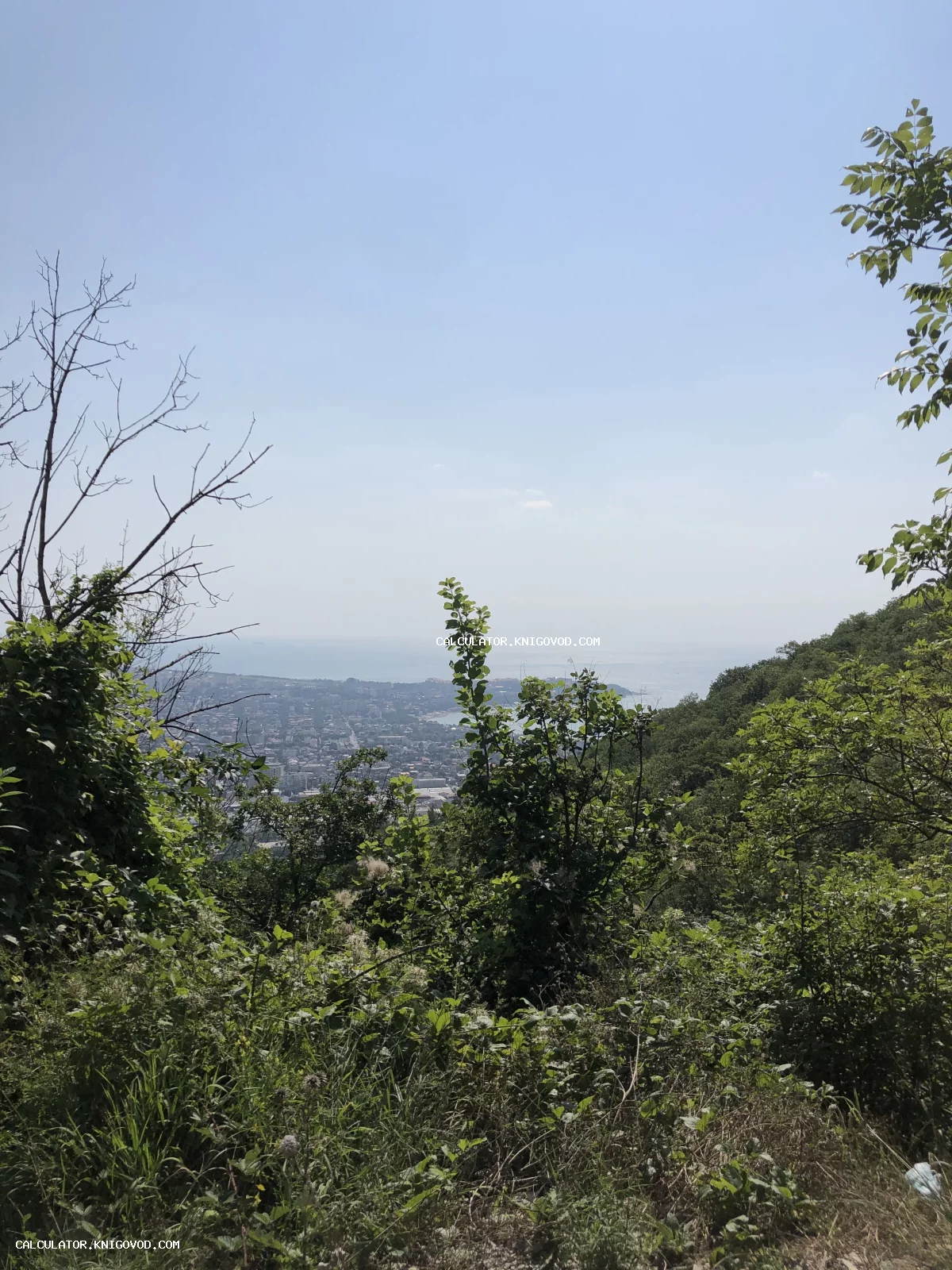 Вид с возвышенности на прибрежный город и море, обрамленный густыми зелеными кустарниками и деревьями под ясным небом.