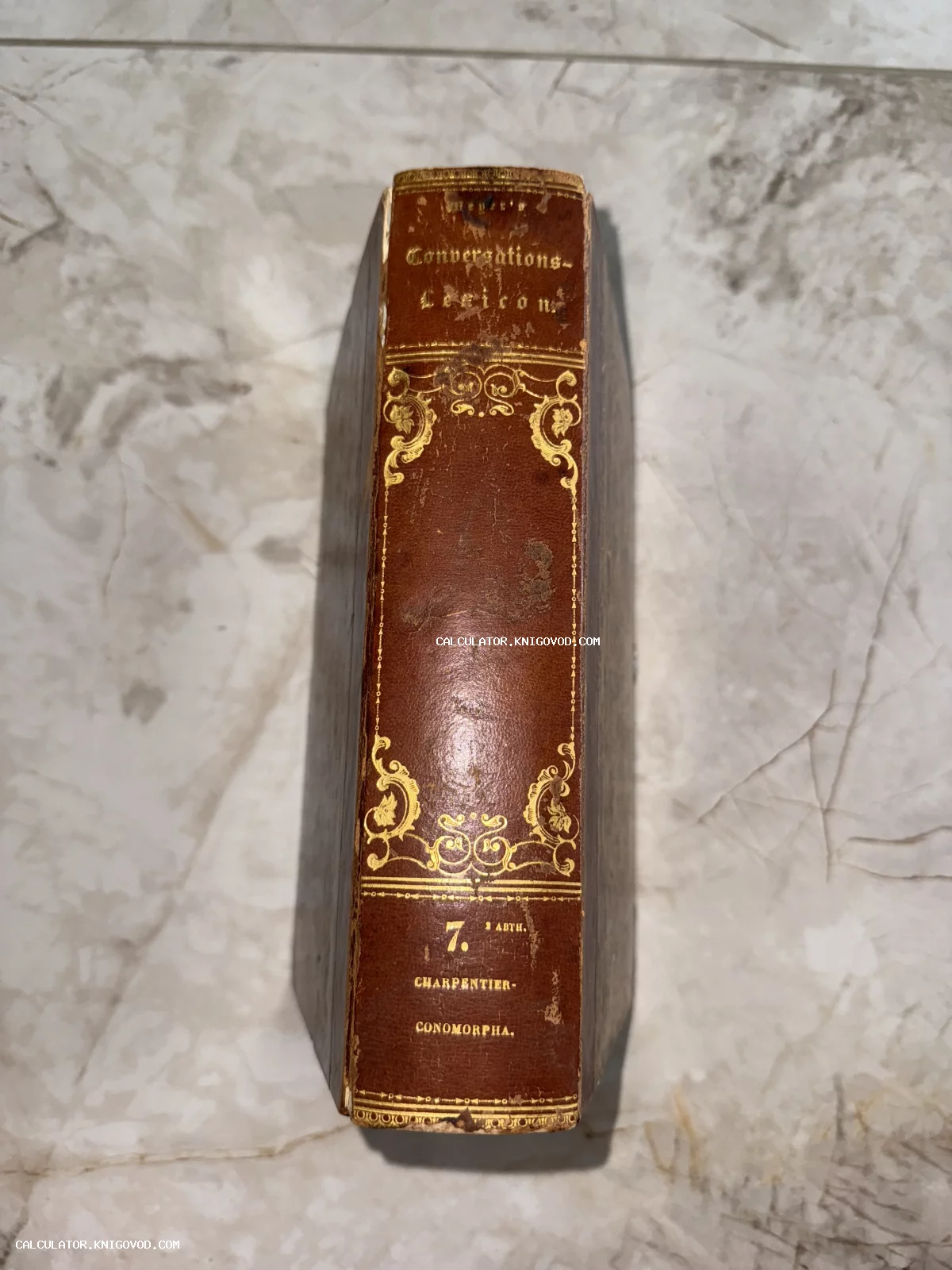 Корешок старинной книги в коричневом кожаном переплете с золотым тиснением и декоративным орнаментом.