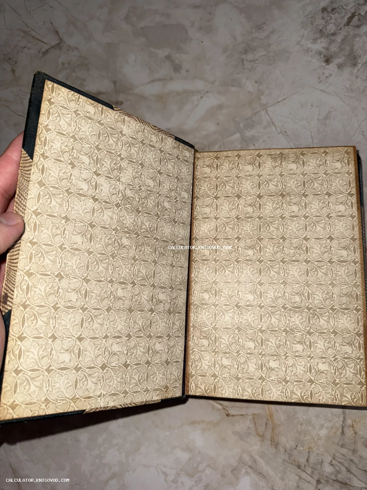 Разворот антикварной книги, демонстрирующий декоративный форзац с изящным бежевым узором из листьев.