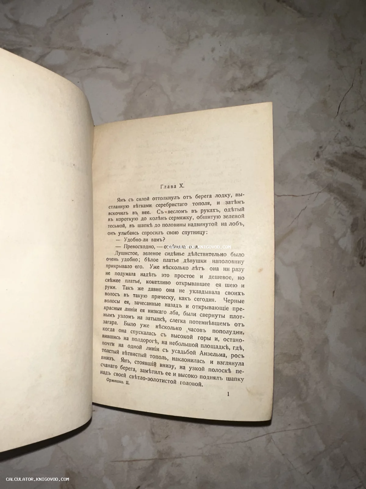 Разворот старинной книги с текстом на дореволюционном русском языке, начало десятой главы.