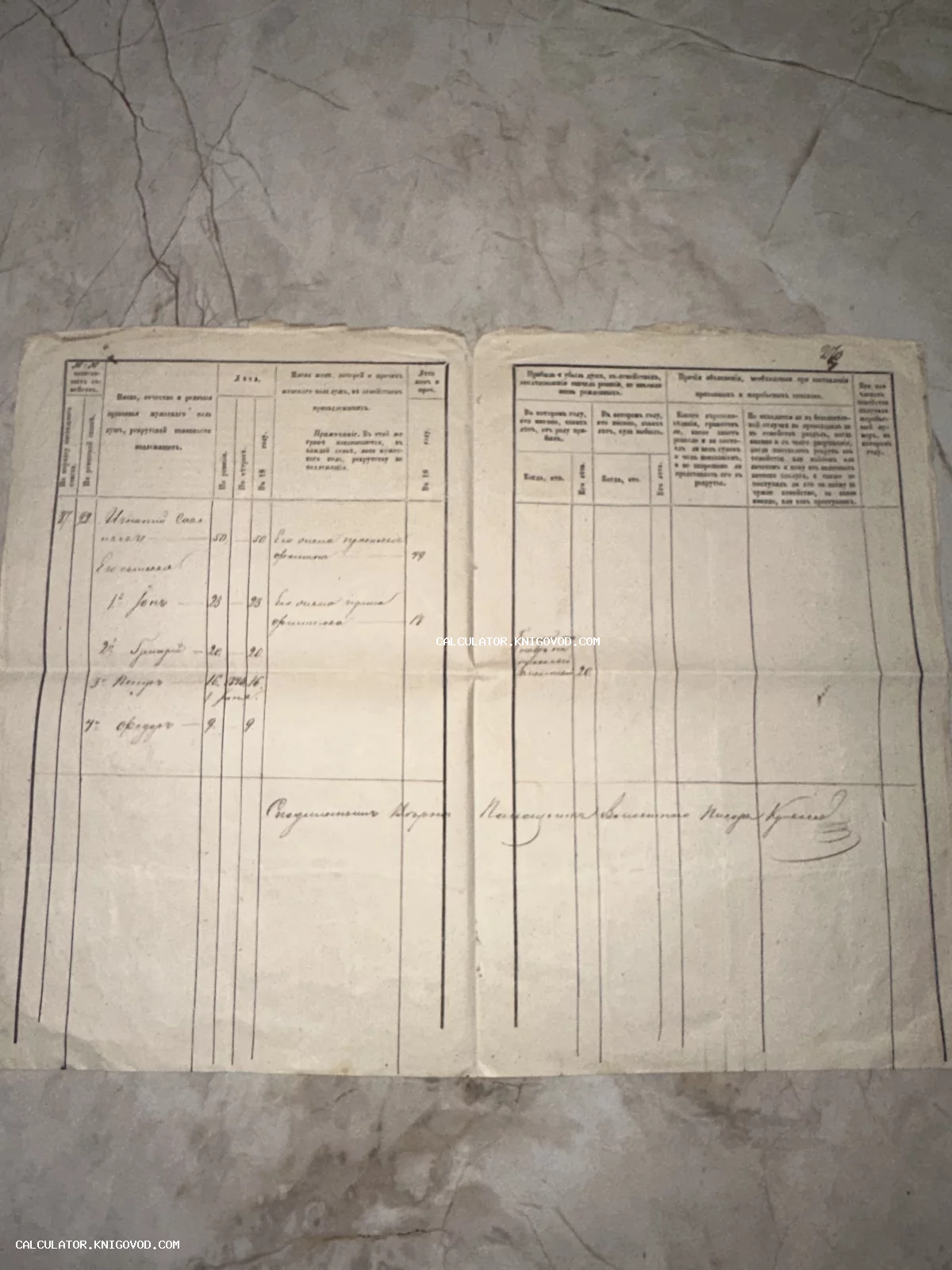 Разворот старинного архивного документа с рукописным текстом в таблицах на пожелтевшей бумаге с дореволюционной орфографией.