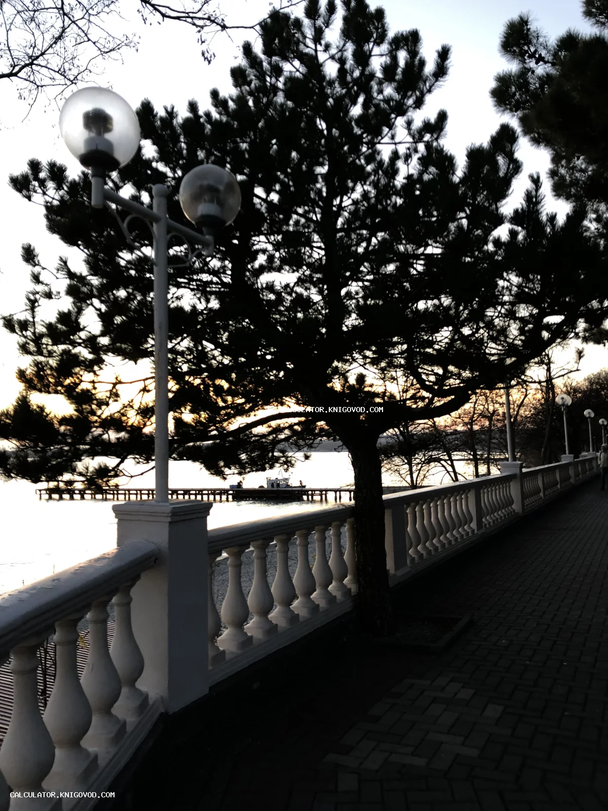 Вид на морскую набережную с белой балюстрадой, парковыми фонарями и силуэтом высокой сосны на фоне заката.