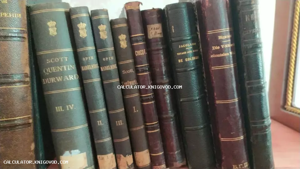 Ряд старинных книг с тиснением на корешках, среди которых произведения Вальтера Скотта и Амелии Опи.