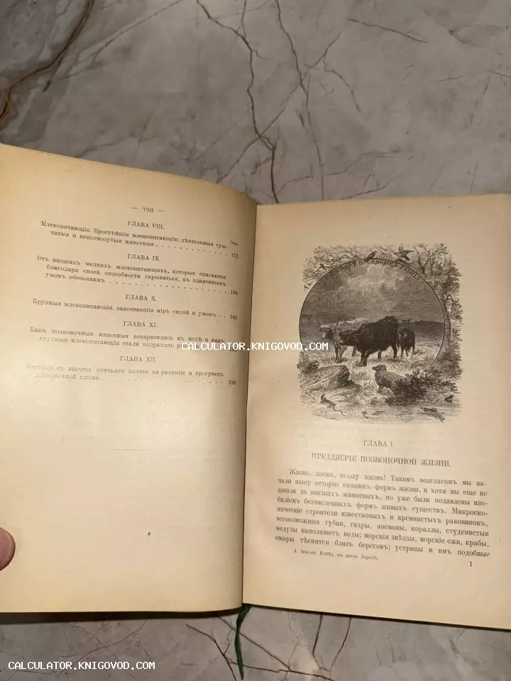 Разворот старинной книги на русском языке с дореволюционной орфографией и гравюрой, изображающей млекопитающих и птиц под заголовком The Great Backboned Family.