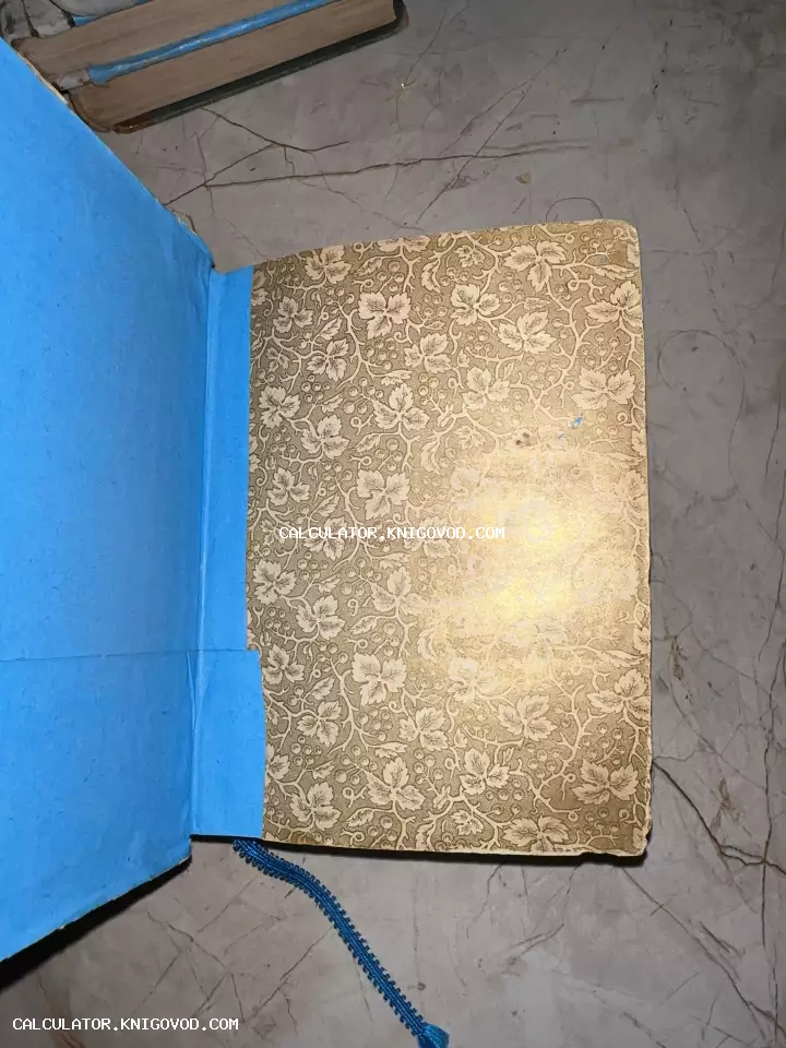 Разворот старинной книги с золотистым растительным орнаментом на форзаце и ярко-голубой внутренней обложкой.