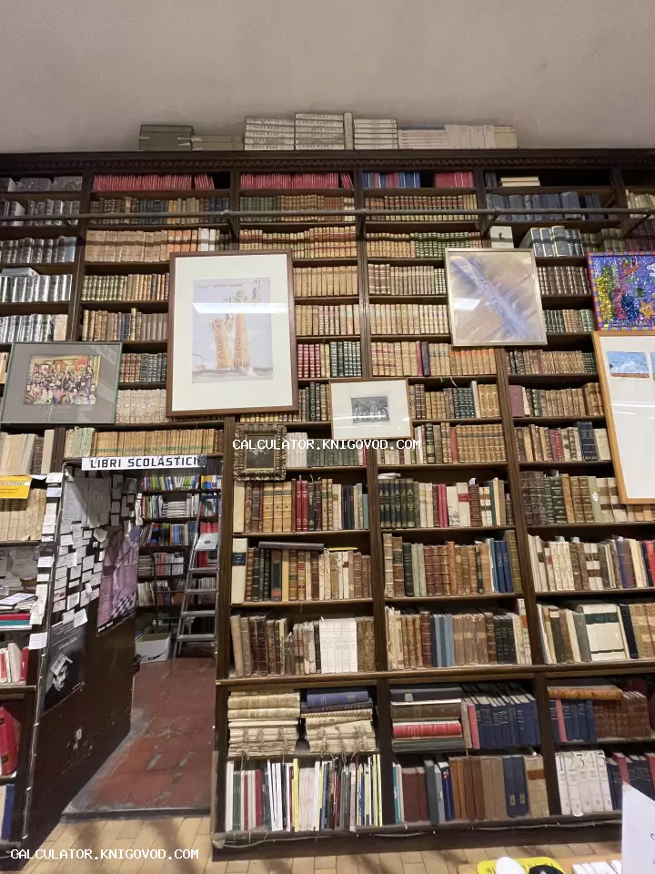 Высокие деревянные стеллажи от пола до потолка, полностью заполненные старинными книгами в разнообразных переплетах.