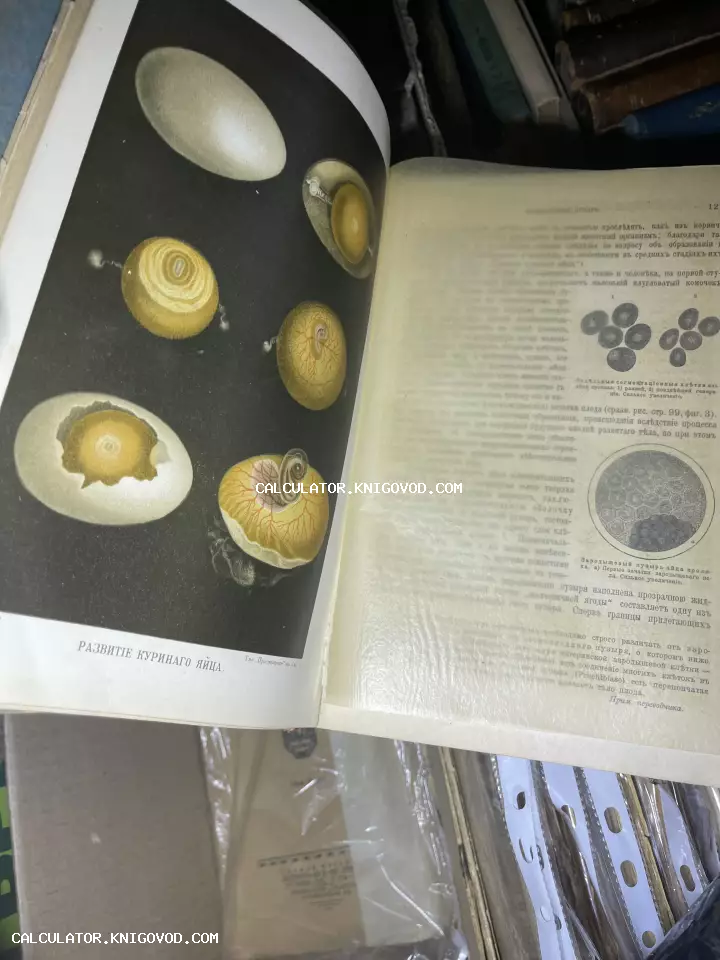 Разворот старинной научной книги с цветной литографией стадий развития куриного эмбриона и текстом на дореволюционном русском языке.