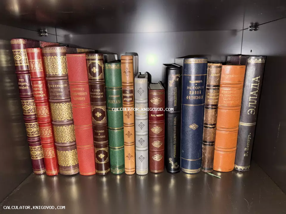 Ряд старинных книг с золотым тиснением на корешках, стоящих на полке, включая издания о философии, искусстве и литературе.