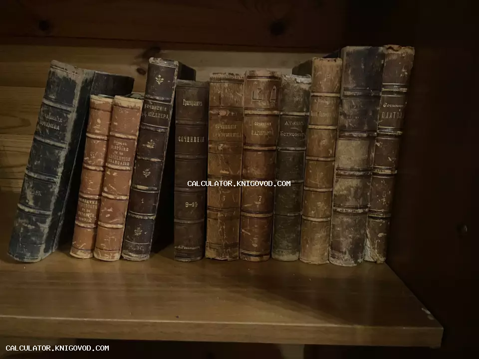 Ряд старинных книг с потертыми кожаными корешками и золотым тиснением на деревянной полке.
