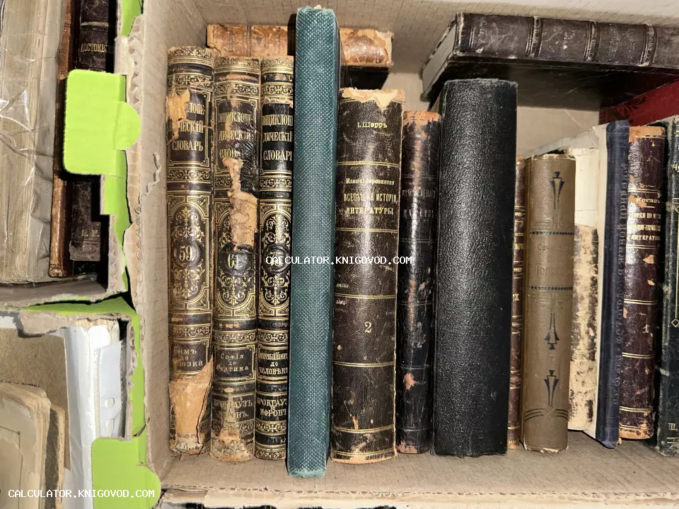 Ряд антикварных книг с золотым тиснением на корешках, включая тома энциклопедического словаря Брокгауза и Ефрона.
