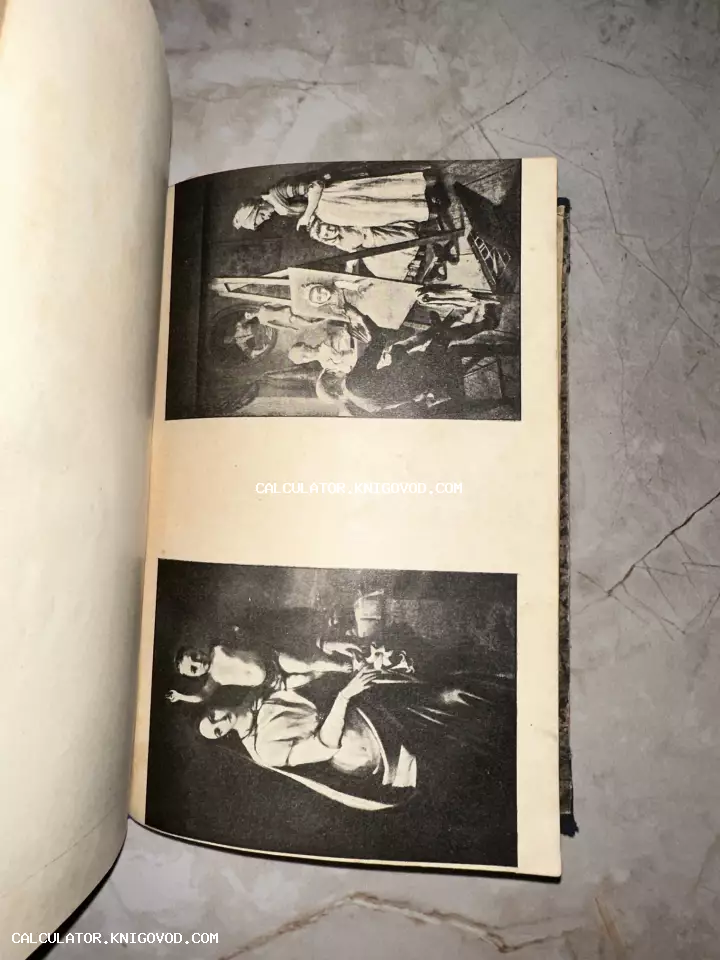 Разворот старой книги с двумя черно-белыми репродукциями картин на пожелтевшей бумаге.