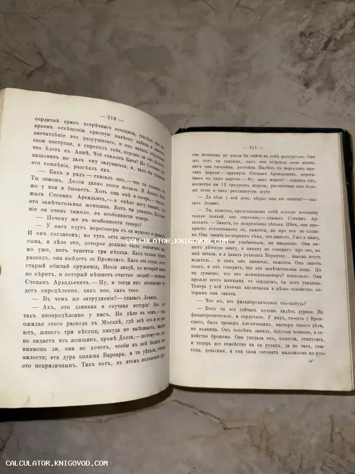 Разворот старинной книги с текстом на дореволюционном русском языке, страницы 210 и 211 с упоминанием Левина и Вронского.