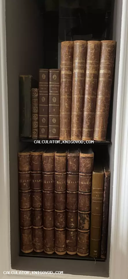 Старинные книги в кожаных переплетах на полках, среди которых сочинения Добролюбова, Гейне и Тургенева.