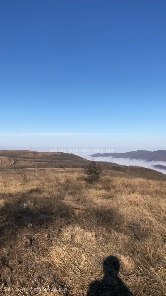 Видео: Img 8694